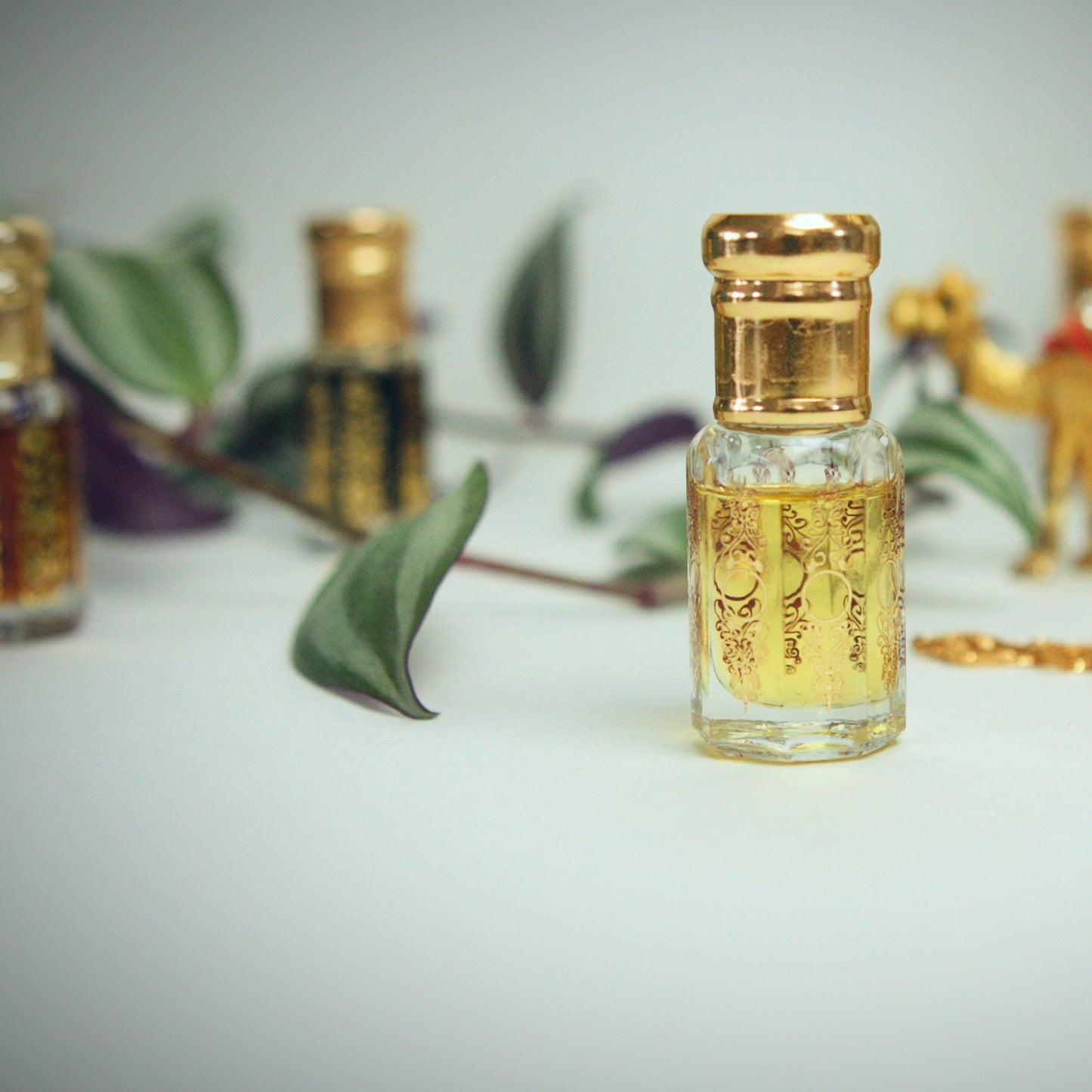 White Oudh